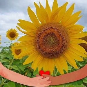 Meet your Posher, Jessie